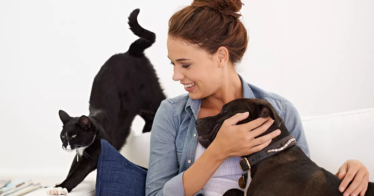 Mulher brincando com seu cachorro e com seu gato. Matéria sobre os benefícios da convivência com animais de estimação para a saúde para o blog do Bradesco Saúde.